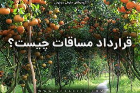 مساقات چیست